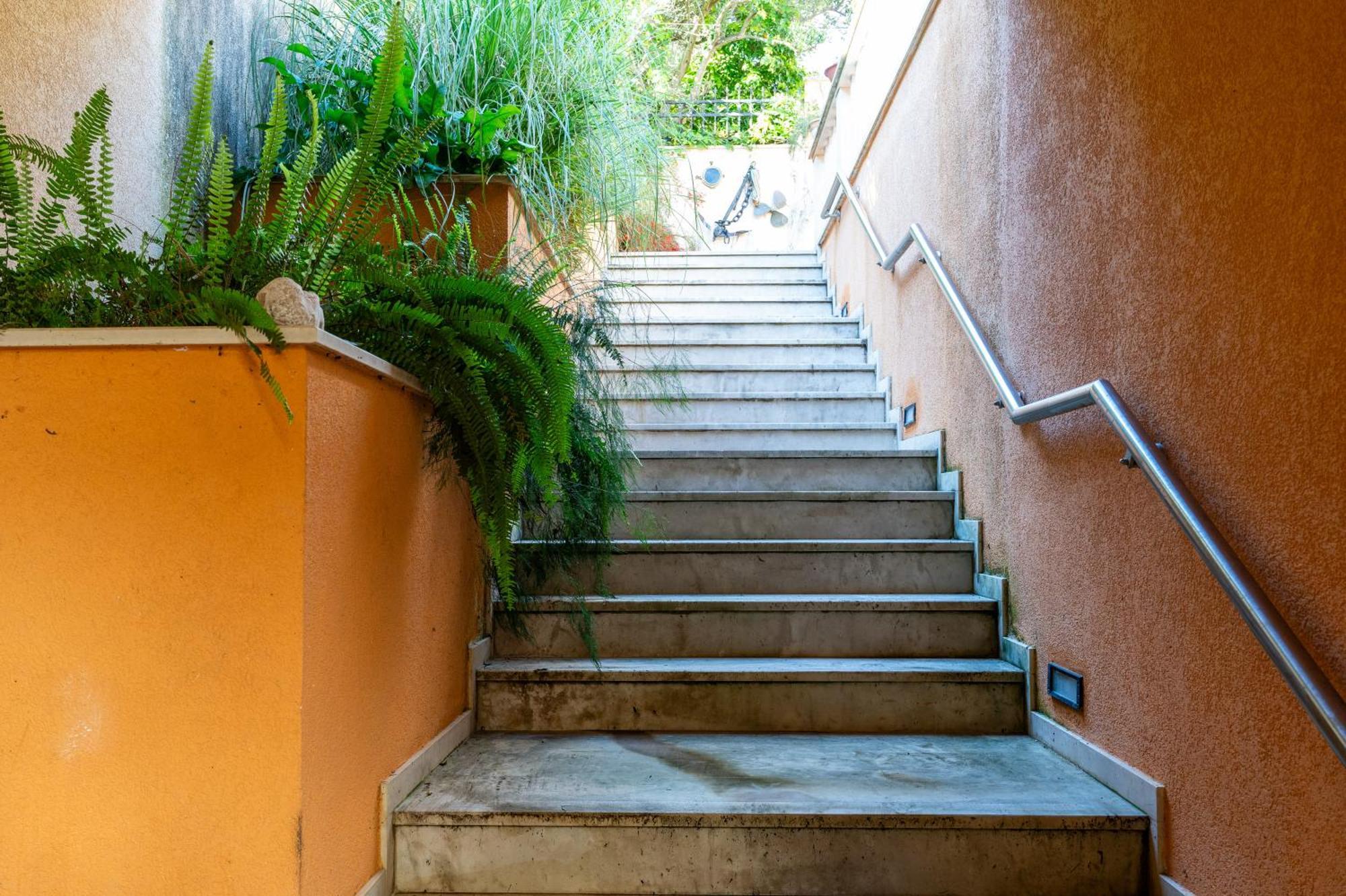 Kadena Apartamento
